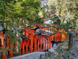 【京都】きっと満足できるはず！ほんとうにおすすめしたい神社巡り♪