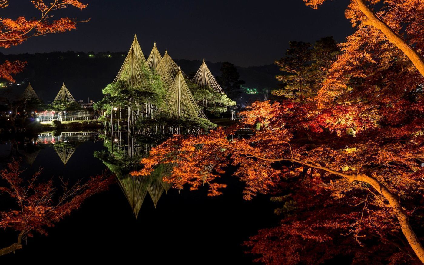 の画像