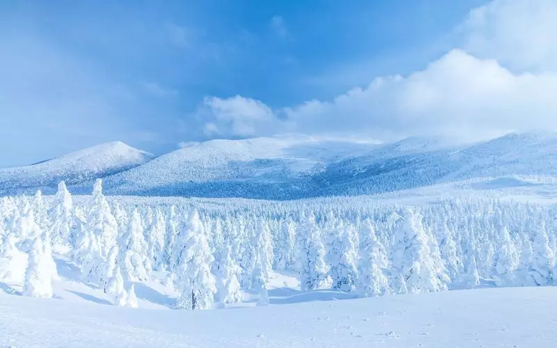 17. 宮城で圧巻の雪景色を堪能する観光地！「蔵王」 1枚目