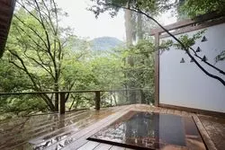 【鹿児島】美人の湯ベスト20に選ばれた名湯で心も体も美しくなる旅