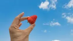 【愛媛】おすすめいちご狩りスポットはここ！人気の品種を食べ比べ♡