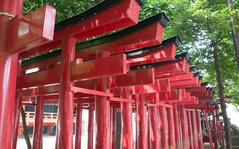 13. 夜の新宿観光にもおすすめ!人が少なくておすすめの穴場『花園神社』 2枚目