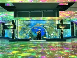 【石川県】今話題のデジタルアートも楽しめちゃう！「のとじま水族館」へ行こう♡