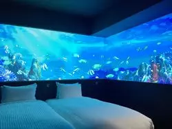 お部屋がまるで水族館！？ホテルグレイスリー那覇【沖縄ホテル】