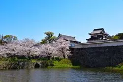 【福岡県】舞鶴公園の楽しみ方を解説！散策後のおすすめグルメを紹介！