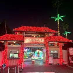 夜景遺産認定！壮大なスケールの『屋外植物園』でイルミネーションを楽しもう【沖縄】