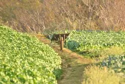 【神奈川】穴場スポット！？あなたの知らない三浦半島♡