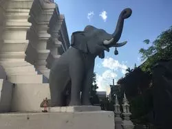 チェンマイの寺院巡りならリアルな象に守られた仏塔を見に行こう！