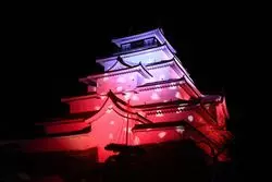 【おでかけ福島】絶景！冬の夜空に浮かぶ鶴ヶ城を見に行こう☆