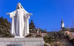初めての函館旅行にも◎バスで観光を充実させよう！！