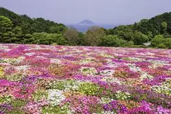 九州に旅行するなら！福岡観光のおすすめはここ！！