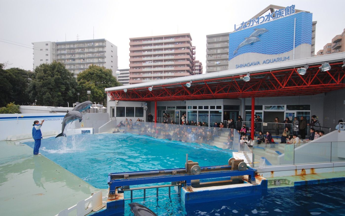 品川にある「マクセル アクアパーク品川」と「しながわ水族館」を徹底比較！の画像