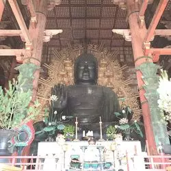 【奈良・東大寺】大阪から日帰りで行ける！ぶらり奈良女子旅☆