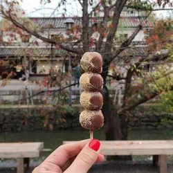【倉敷】はじめての岡山旅行！美観地区でフォトジェニックな旅♡
