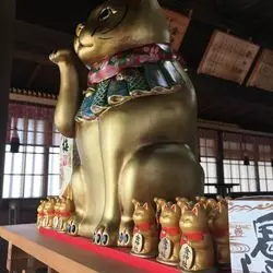 【愛知県瀬戸市】全身金色・金運開く？！招き猫がお出迎え☆