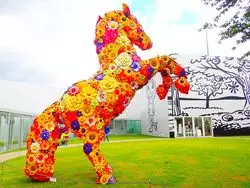【青森】草間彌生作品も！体感型美術館でアートの世界に浸ろう♡