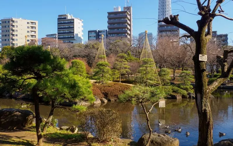 6. 浅草子連れスポット「隅田公園」 1枚目