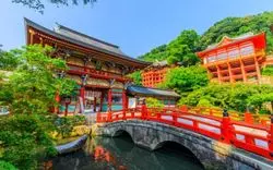 佐賀で神社巡りしよう♪宝くじや縁結びの御利益がある人気10選