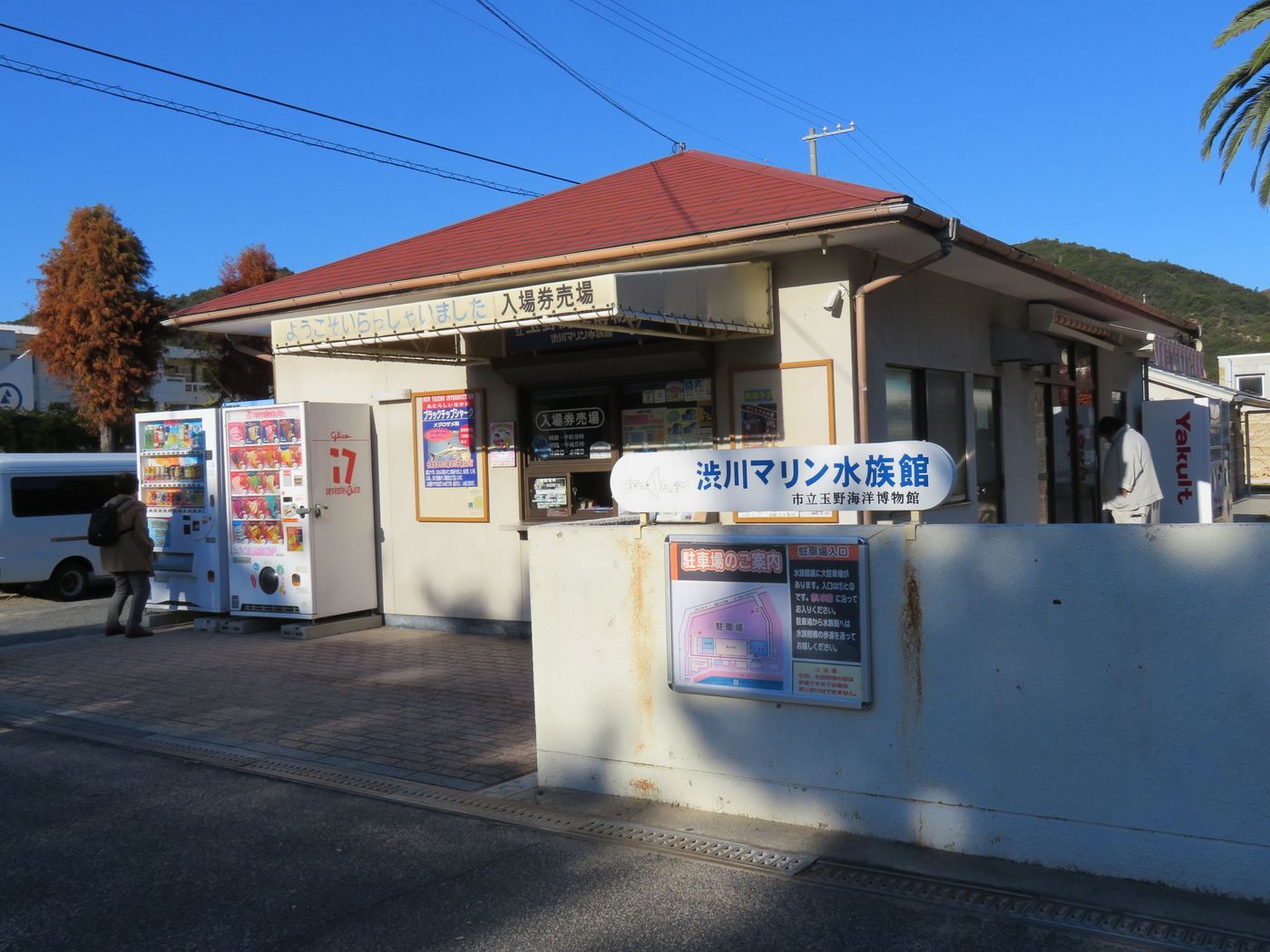 の画像