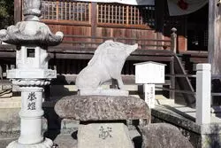 【2019年】開運！岡山のイノシシを祀る神社へお詣りしよう♡