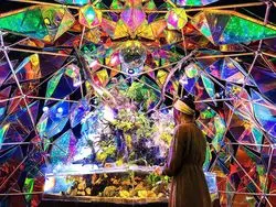 「金魚ミュージアム」に行ってみよう♪今、奈良が熱い！