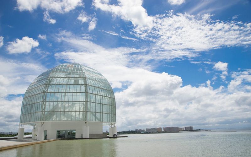 関東のおすすめ水族館をシチュ別にご紹介 厳選10選 Aumo アウモ
