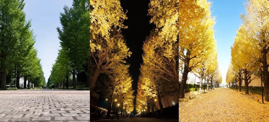 【2025】東京の遊び場を総まとめ27選！大人が1日遊べる場所も厳選の画像