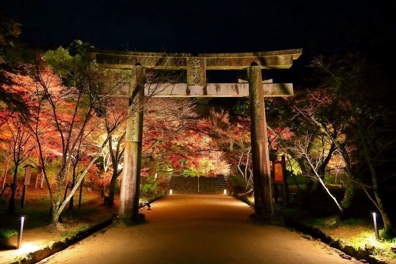 福岡の紅葉スポット 年度のおすすめ名所を10選紹介 Aumo アウモ