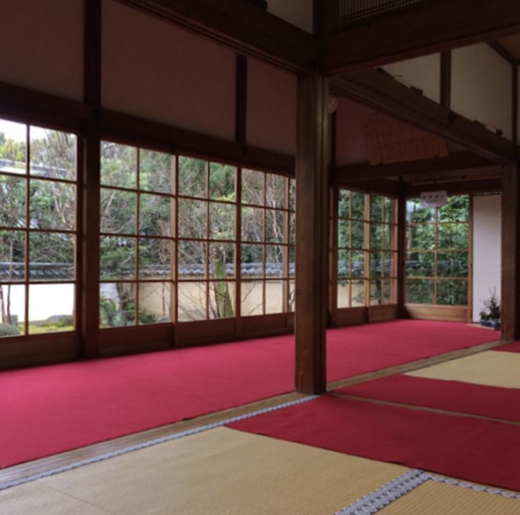 初春も、やっぱり京都に行こう♪の画像