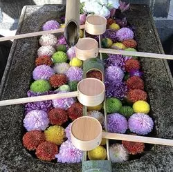 初春も、やっぱり京都に行こう♪