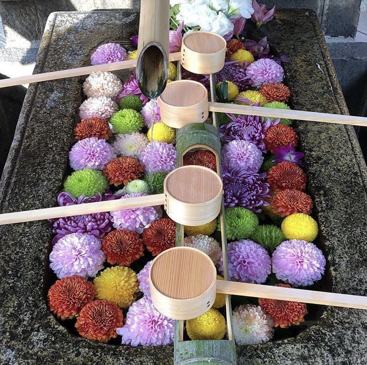 初春も、やっぱり京都に行こう♪の画像