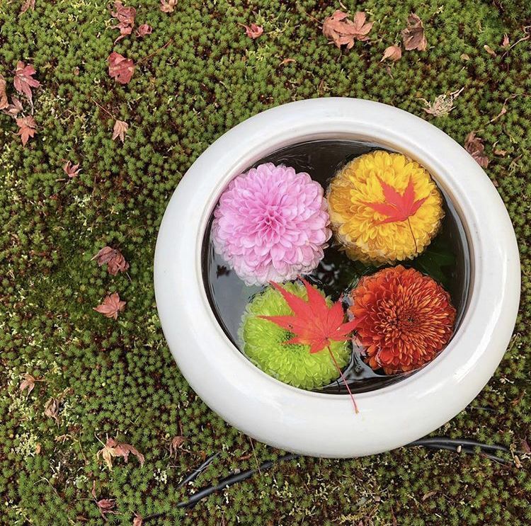 初春も、やっぱり京都に行こう♪の画像