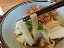 【愛知・安城】食べれるのは昼のみ！おいしいうどんを食べよう！