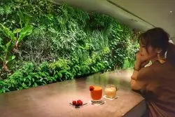 【東京】本当は秘密にしておきたい♡表参道の裏路地bar