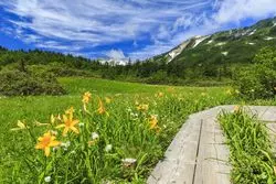 長野県の避暑地で穴場おすすめスポット6選を紹介