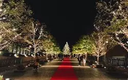 恵比寿で大人デート！昼から夜まで楽しめる穴場スポットを紹介