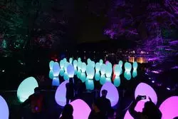 【週末女子旅】話題のチームラボ♡カラフルな夜のおさんぽを♪