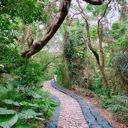 沖縄世界文化遺産【斎場御嶽（せいふぁうたき）】でパワーチャージ♡