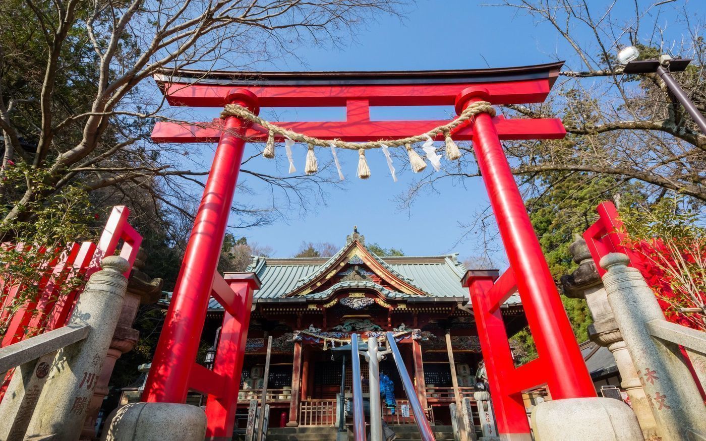 の画像