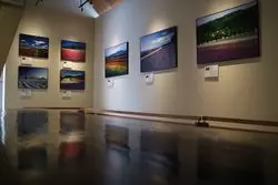 北海道中富良野町ファーム富田の花畑を写した写真館をご紹介♪