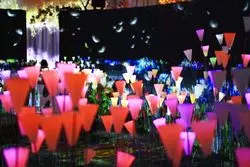 【東京カメラガールズ】五感で楽しむ！日本一早いお花見は日本橋で♪