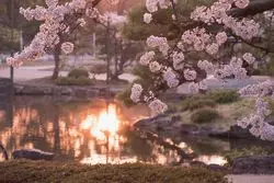 愛知でお花見♡第二弾♡名古屋で人気の公園へ