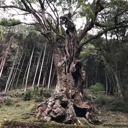 【佐賀】パワーをチャージ！！武雄で疲れを吹き飛ばせ！！