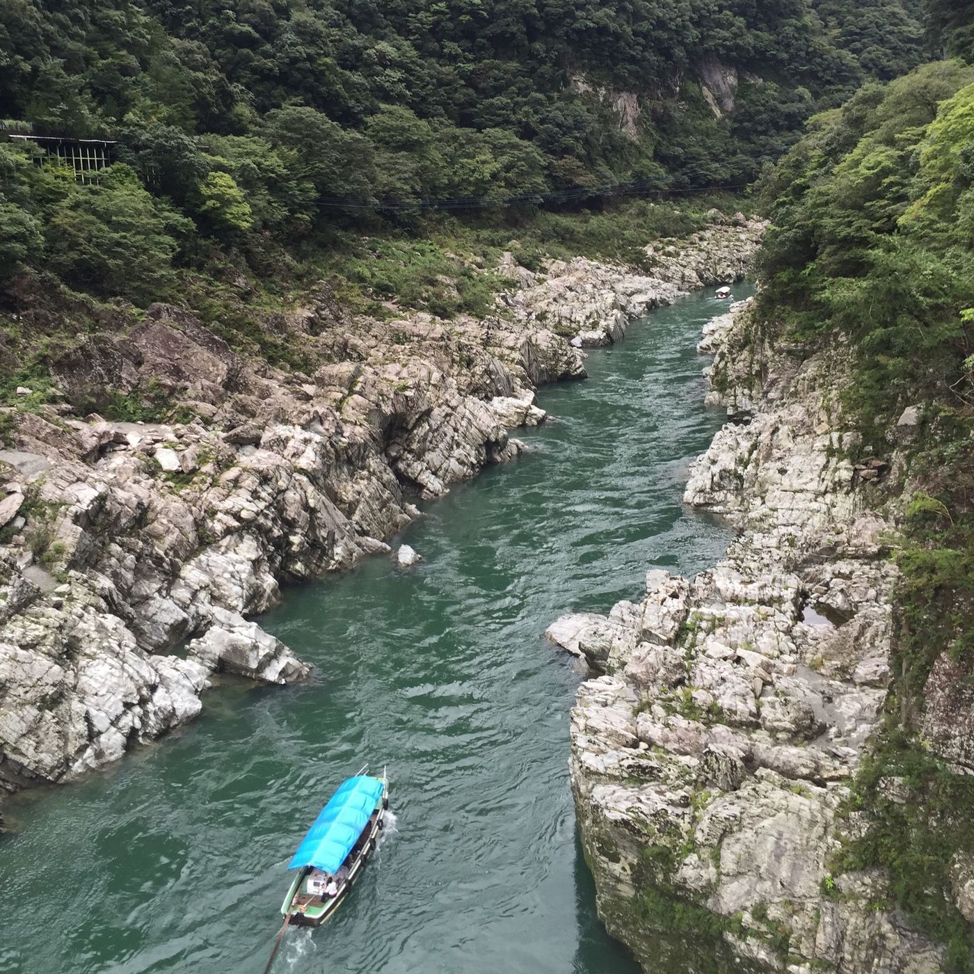 祖谷渓谷☆47都道府県制覇した筆者のオススメスポットをご紹介！の画像