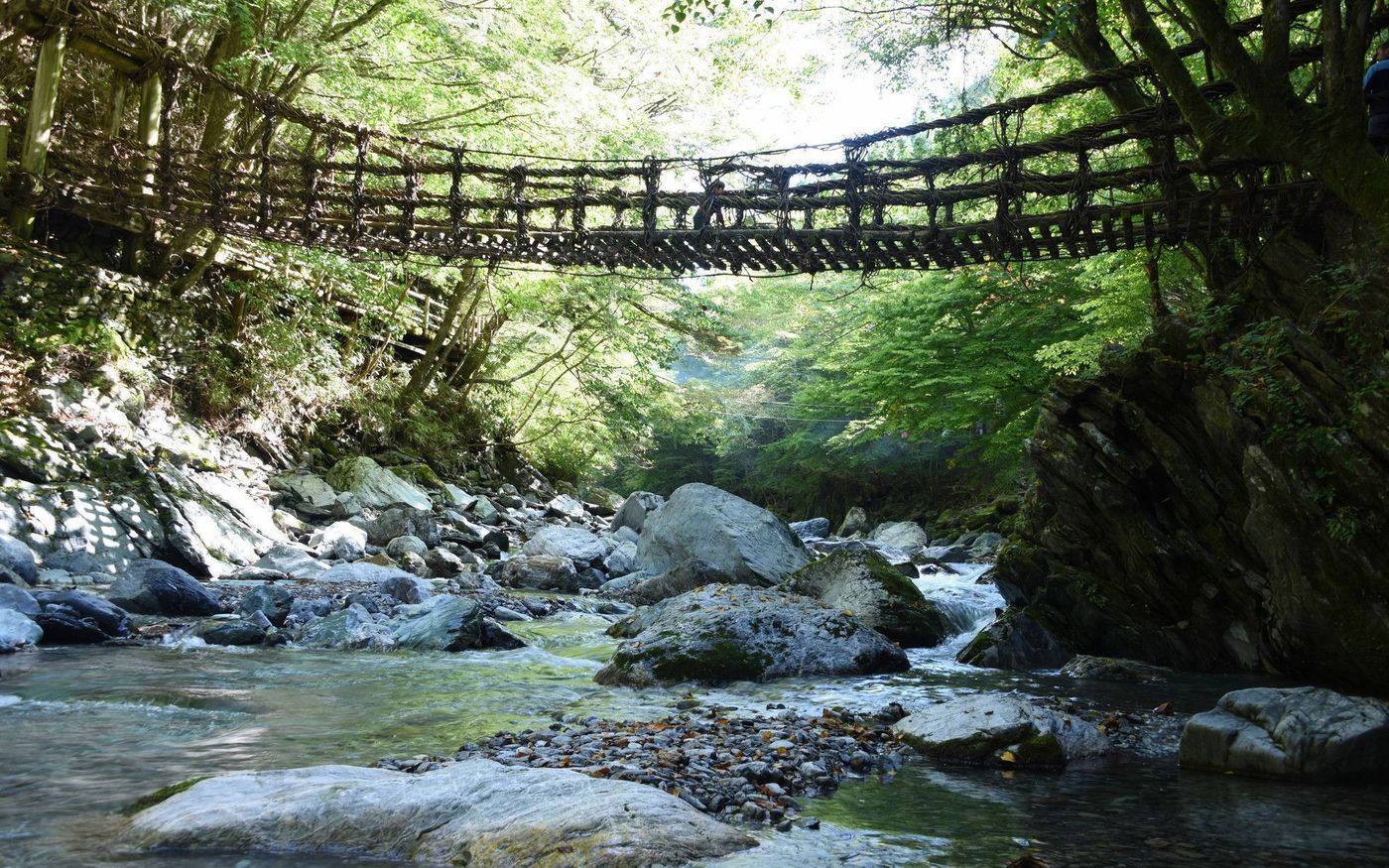祖谷渓谷☆47都道府県制覇した筆者のオススメスポットをご紹介！の画像