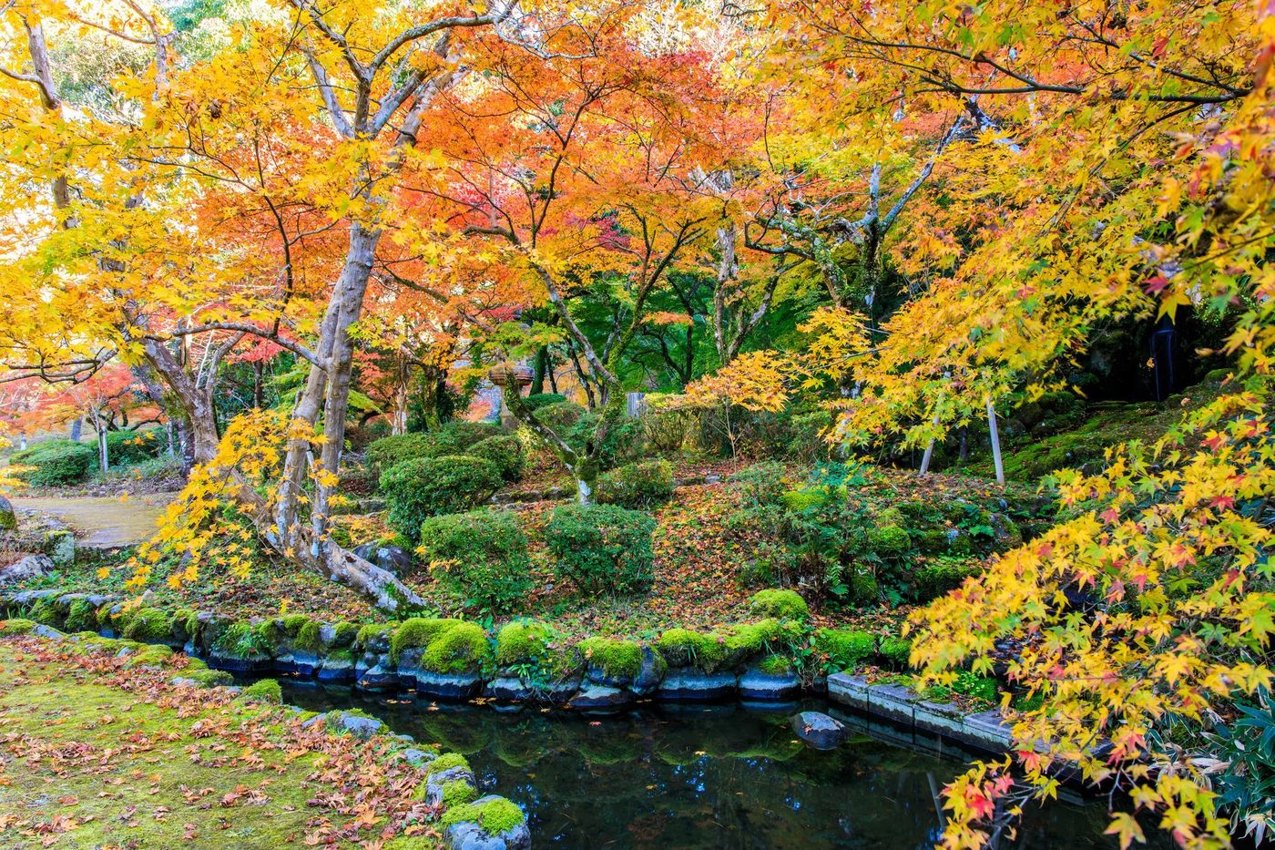 【2025年】佐賀の紅葉名所11選！王道の御船山から穴場までの画像
