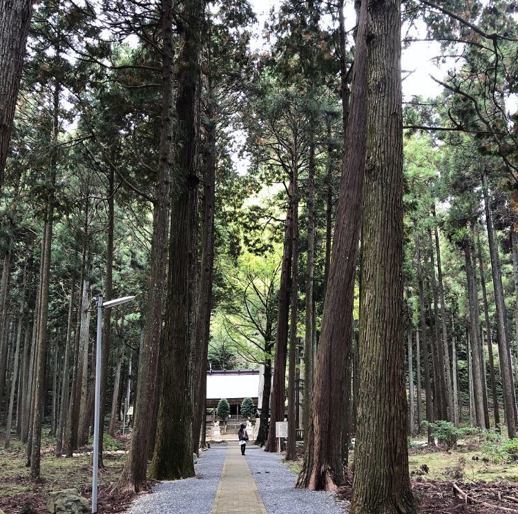 【兵庫・北播磨】神秘の神社と行列必至の「巻き寿司」をご紹介♪の画像
