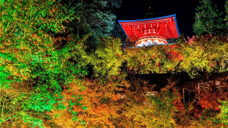 年 佐賀の紅葉名所11選 王道の御船山から穴場まで Aumo アウモ