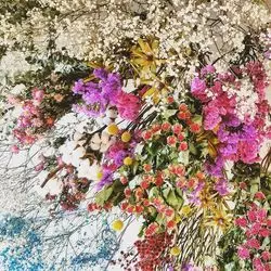 【広島】ドライフラワーに包まれて♡癒やしの空間カフェ