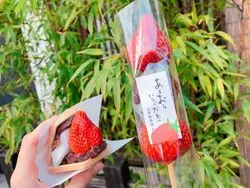【福岡】まったりと観光♪おとな太宰府が楽しめるコースをご紹介！